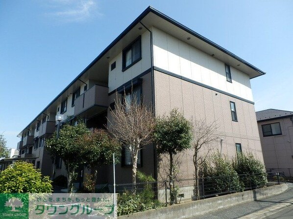 エコーハイツマルオカの物件内観写真